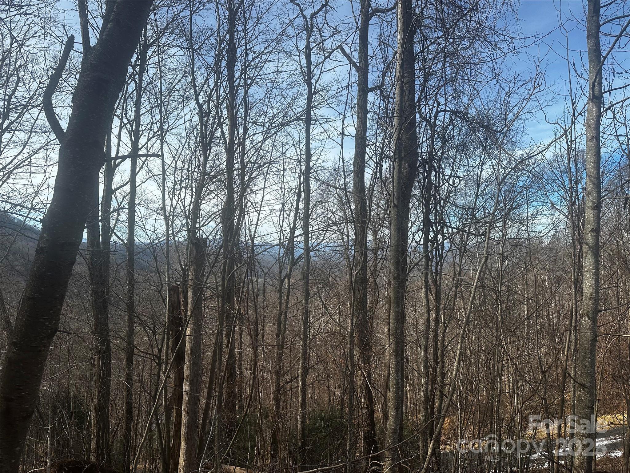 0 Wild Turkey Road Bakersville NC 28705