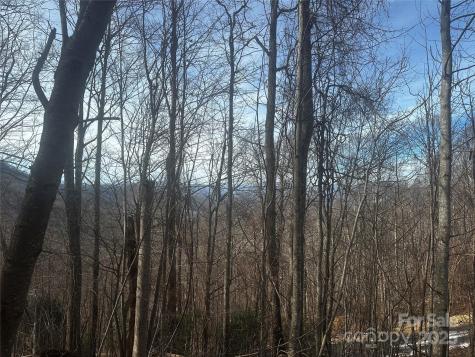 0 Wild Turkey Road Bakersville NC 28705