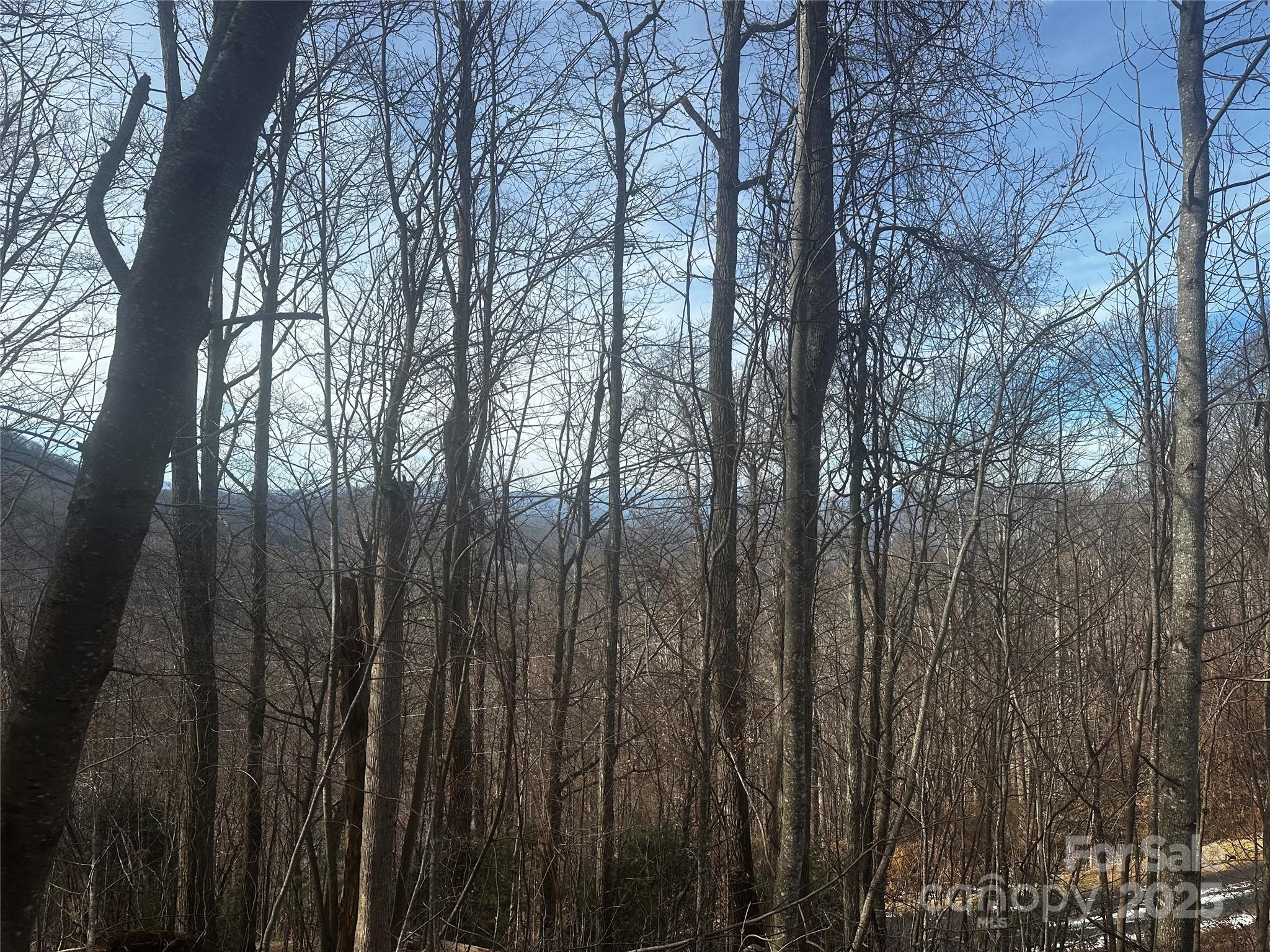 0 Wild Turkey Road Bakersville NC 28705