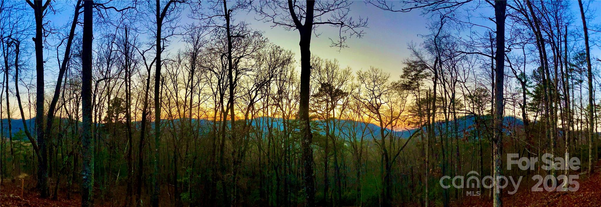 Lot 3 Osprey Mountain Way Sylva NC 28779