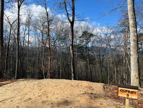 Lot 3 Osprey Mountain Way Sylva NC 28779