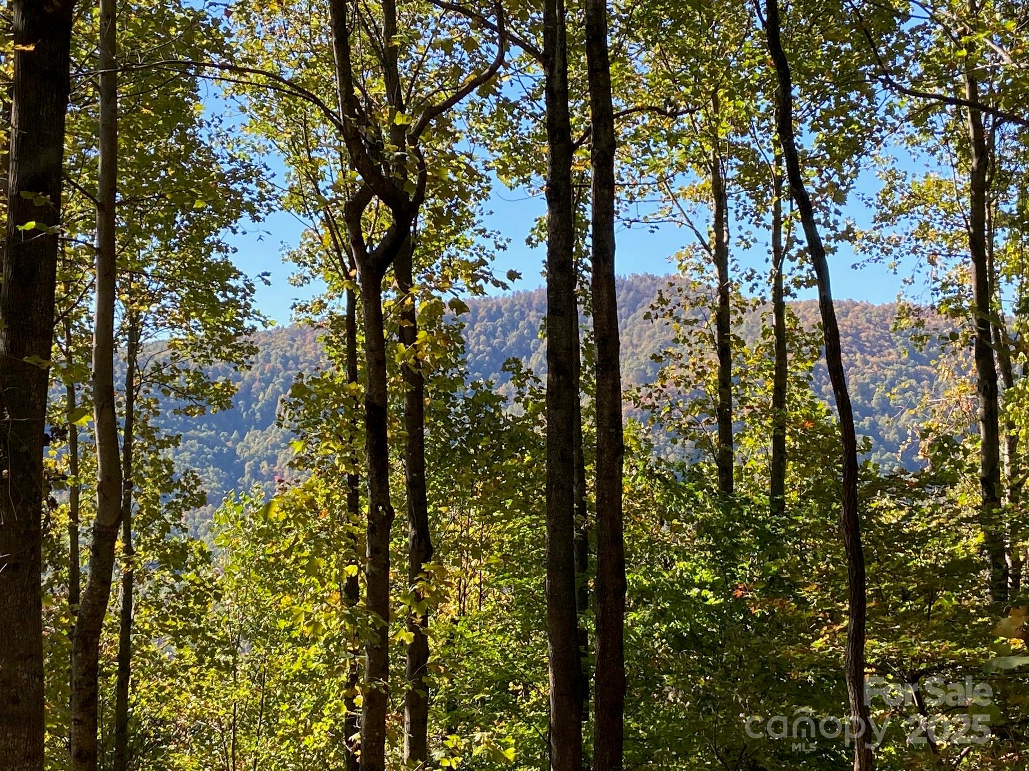 501 Warbler Lane Black Mountain NC 28711
