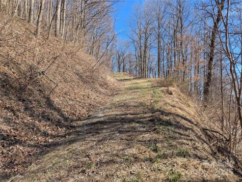 501 Warbler Lane Black Mountain NC 28711