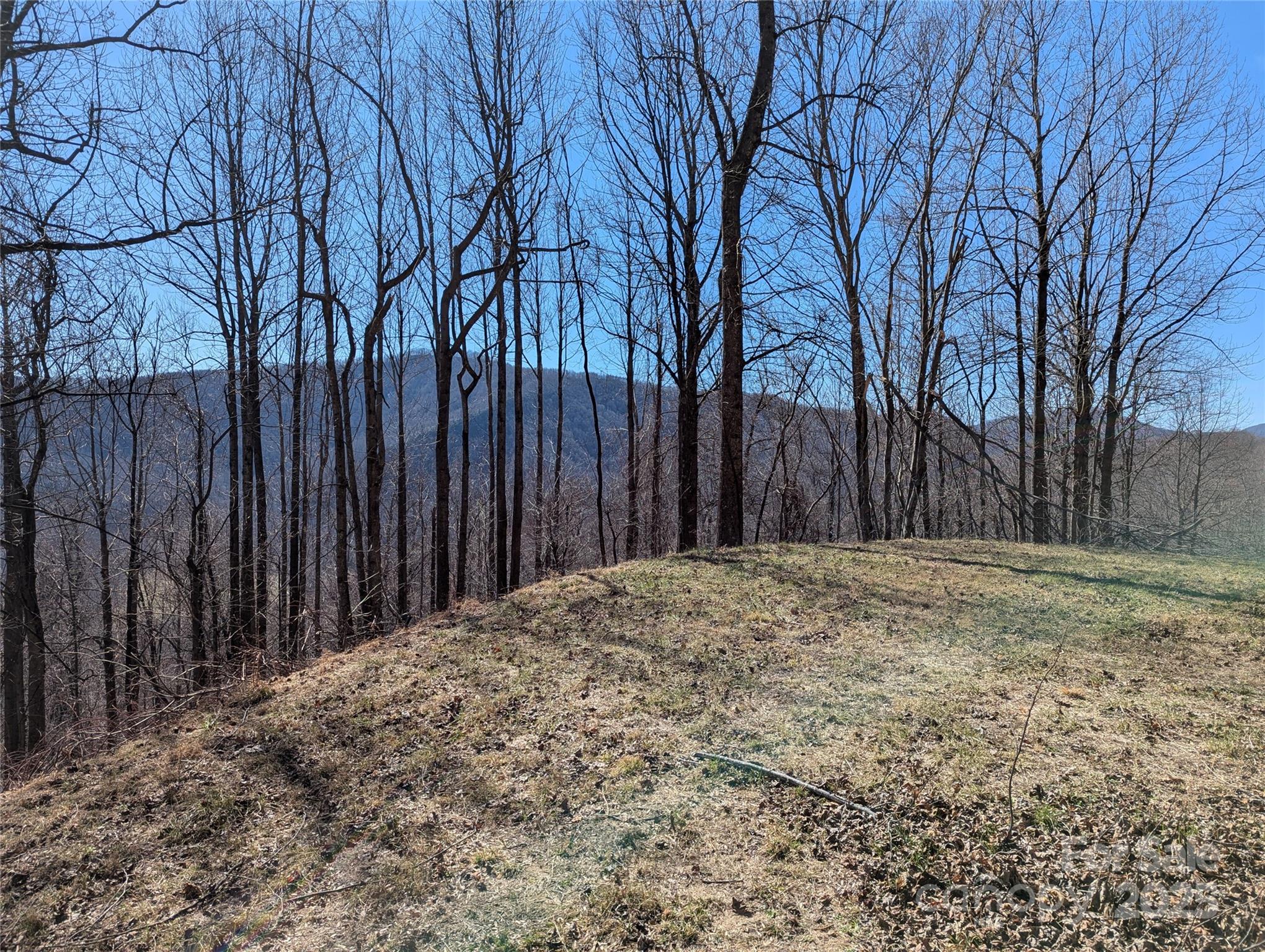 501 Warbler Lane Black Mountain NC 28711