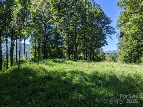 501 Warbler Lane Black Mountain NC 28711