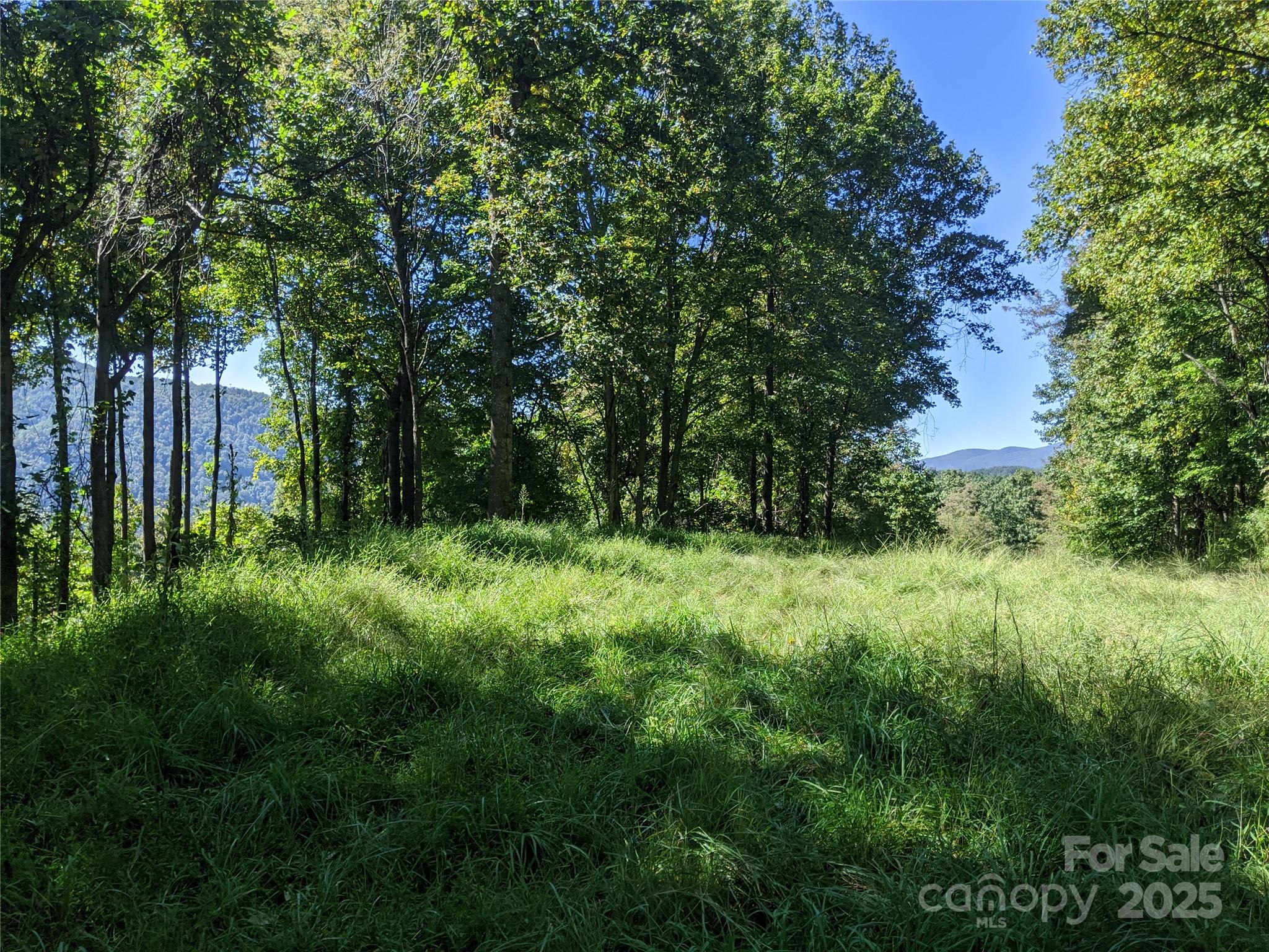501 Warbler Lane Black Mountain NC 28711
