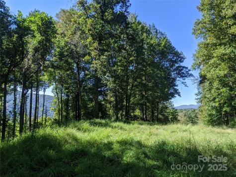 501 Warbler Lane Black Mountain NC 28711