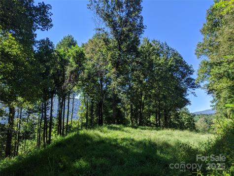 501 Warbler Lane Black Mountain NC 28711