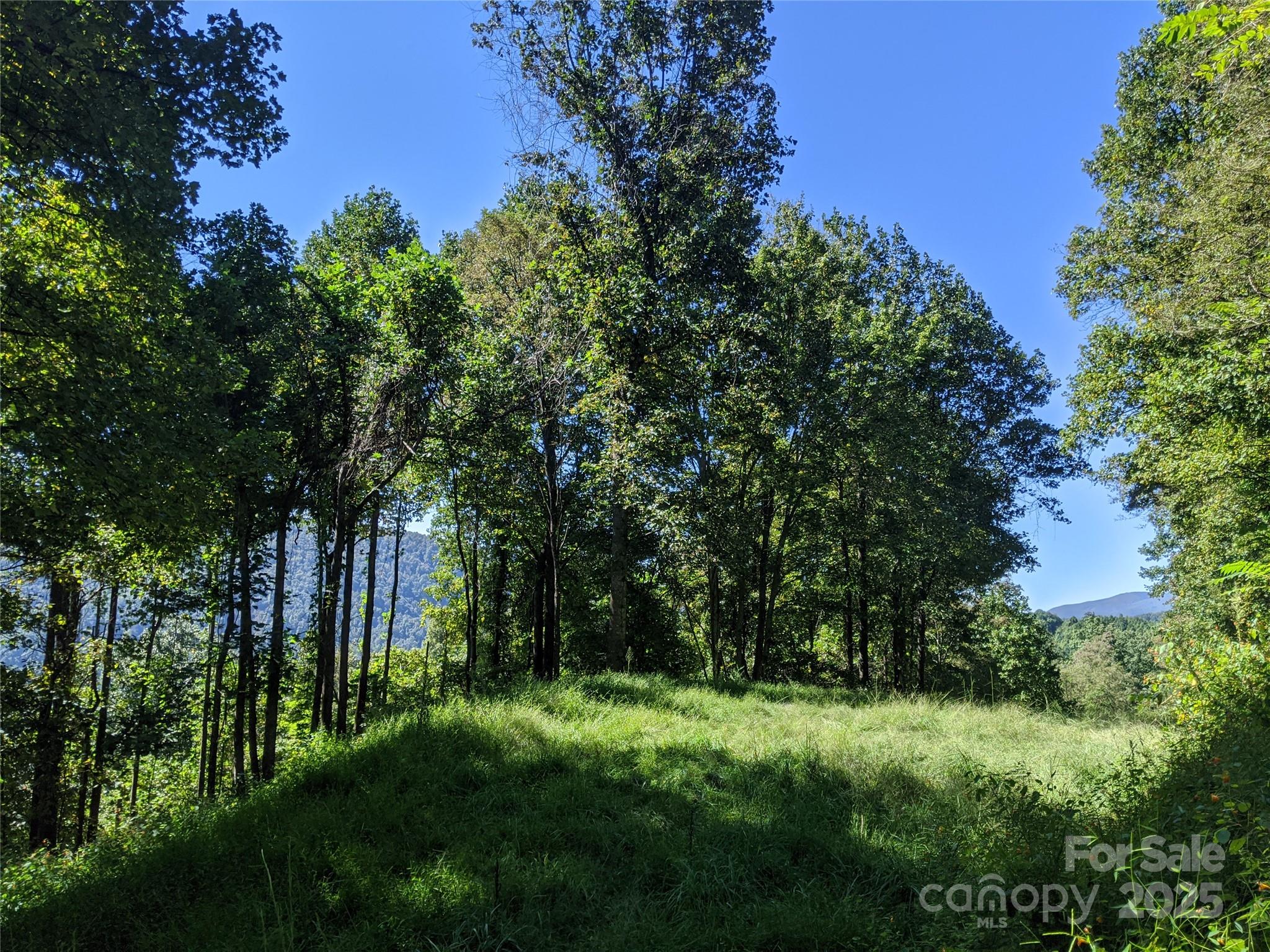 501 Warbler Lane Black Mountain NC 28711