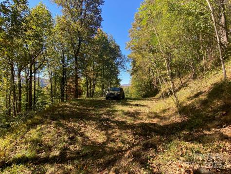 501 Warbler Lane Black Mountain NC 28711