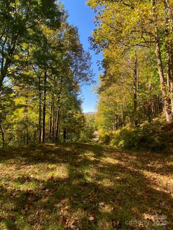 501 Warbler Lane Black Mountain NC 28711
