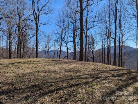 501 Warbler Lane Black Mountain NC 28711