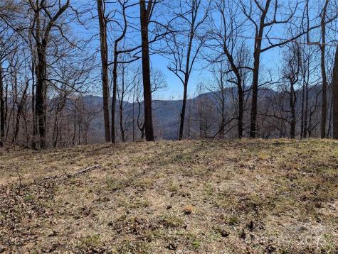 501 Warbler Lane Black Mountain NC 28711