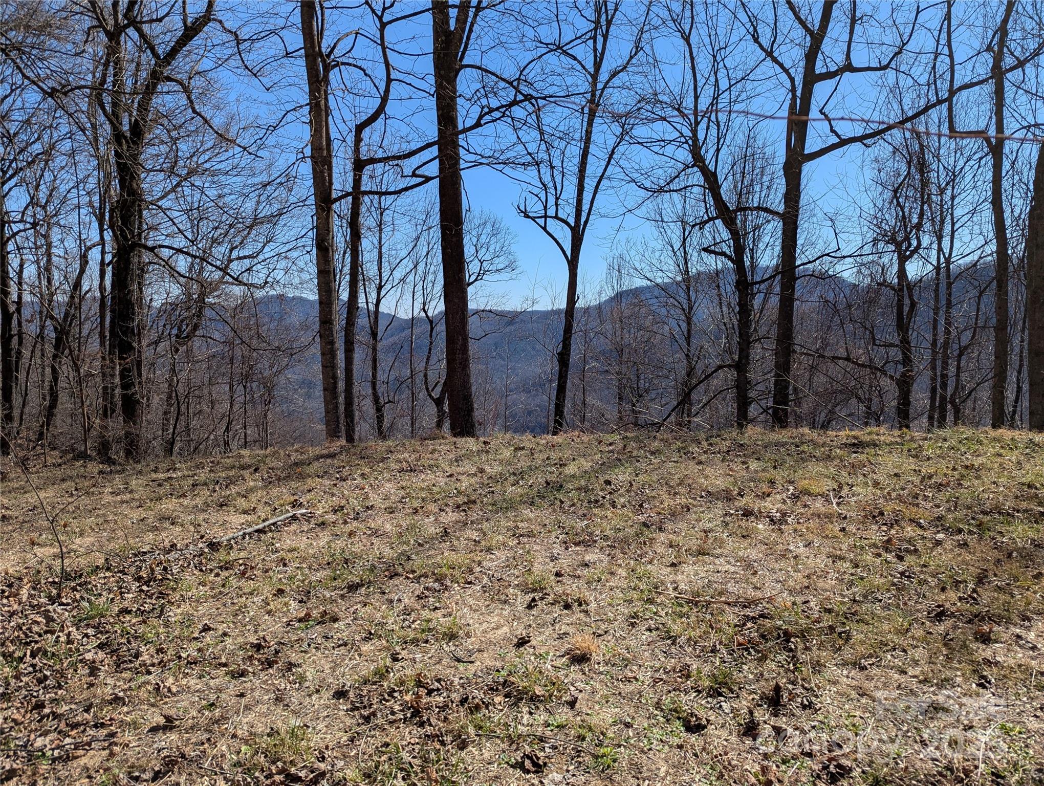 501 Warbler Lane Black Mountain NC 28711