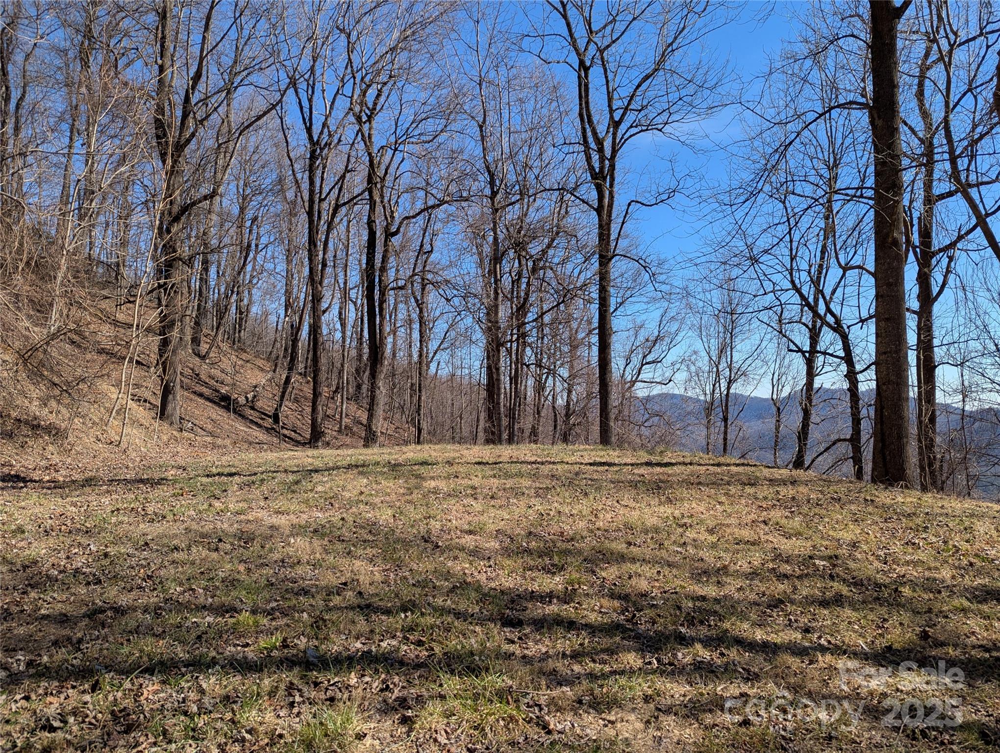 501 Warbler Lane Black Mountain NC 28711