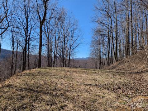 501 Warbler Lane Black Mountain NC 28711