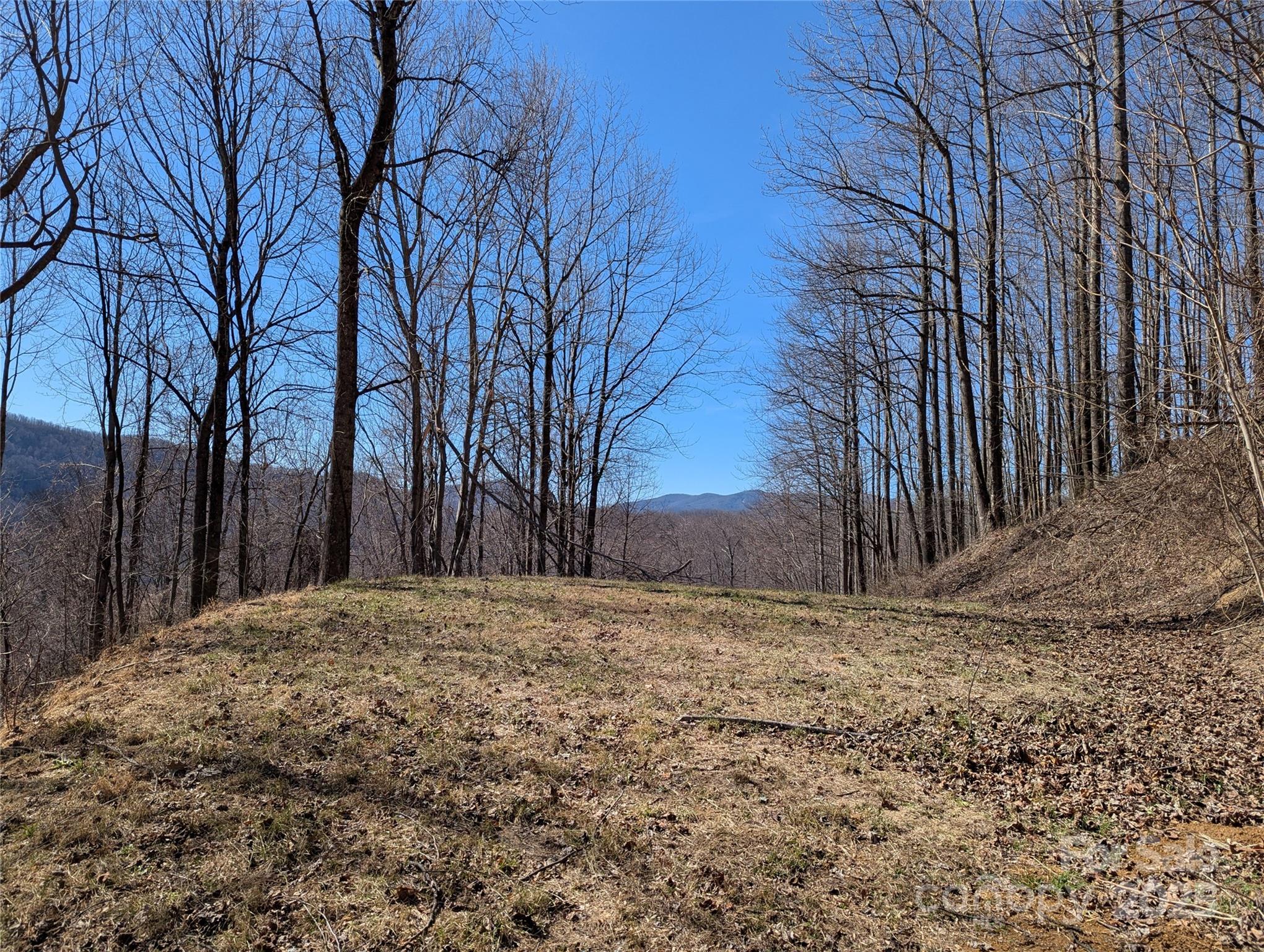 501 Warbler Lane Black Mountain NC 28711