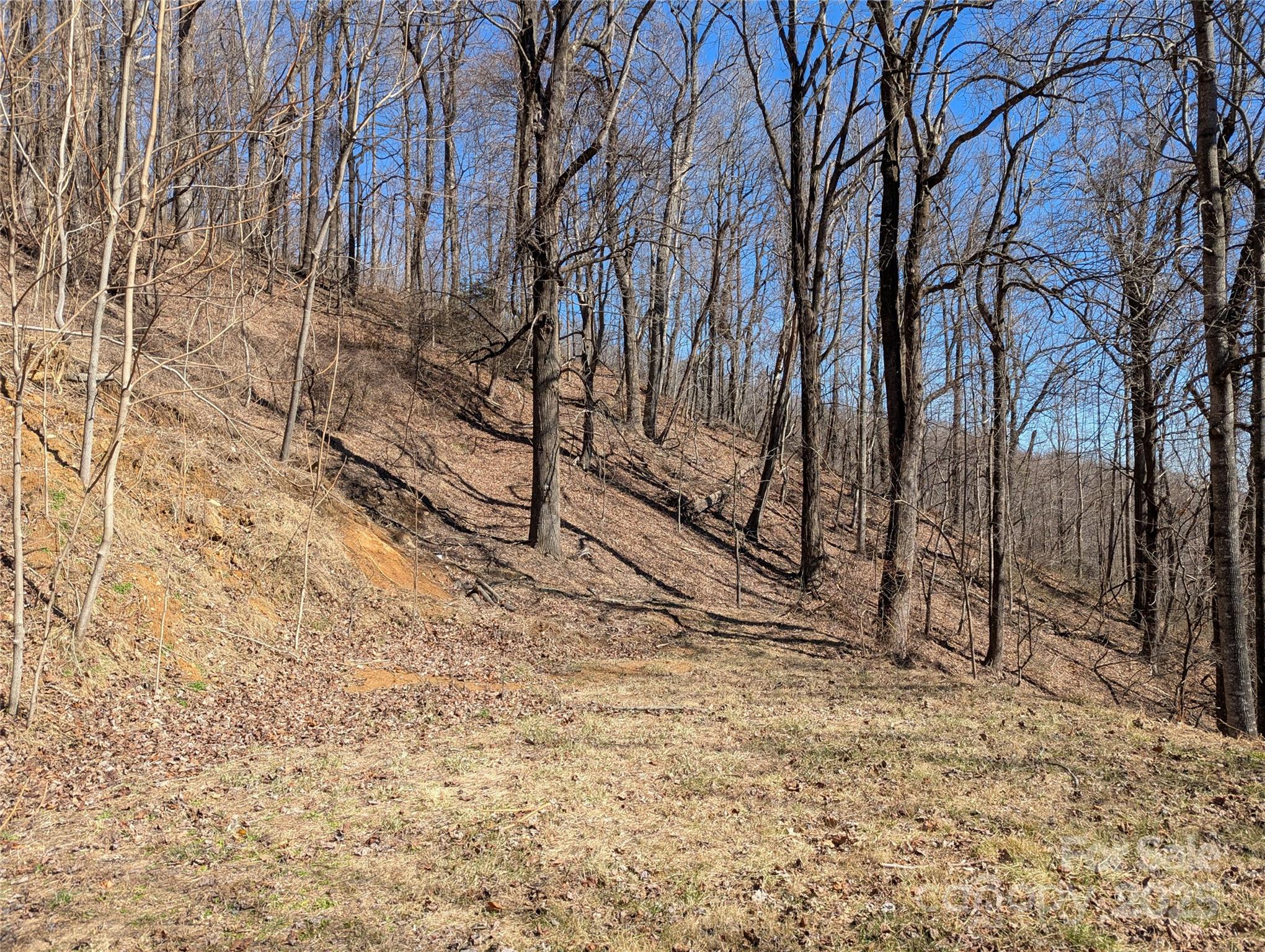 501 Warbler Lane Black Mountain NC 28711