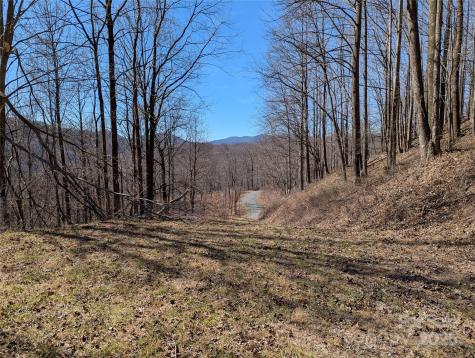 501 Warbler Lane Black Mountain NC 28711