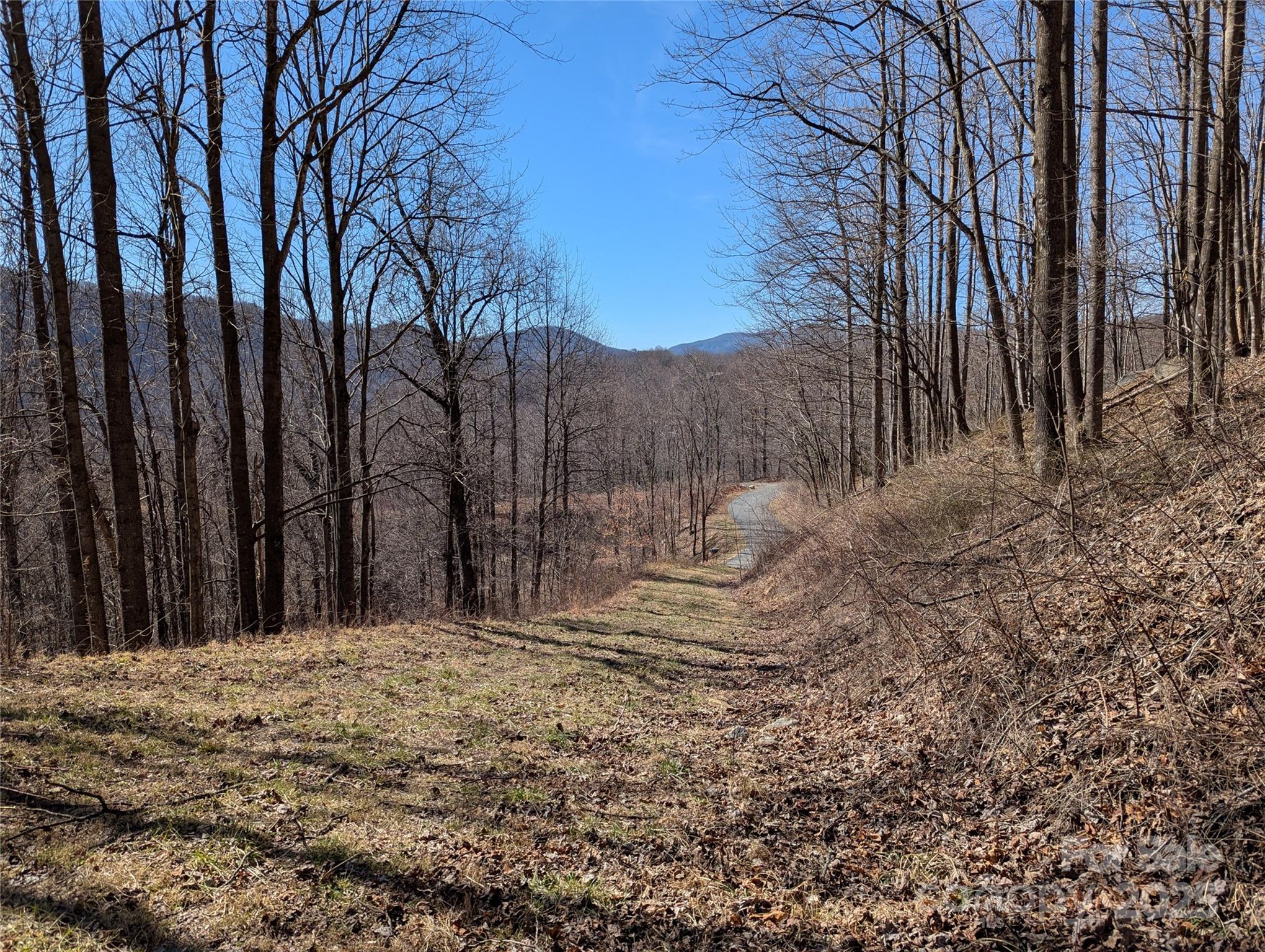 501 Warbler Lane Black Mountain NC 28711