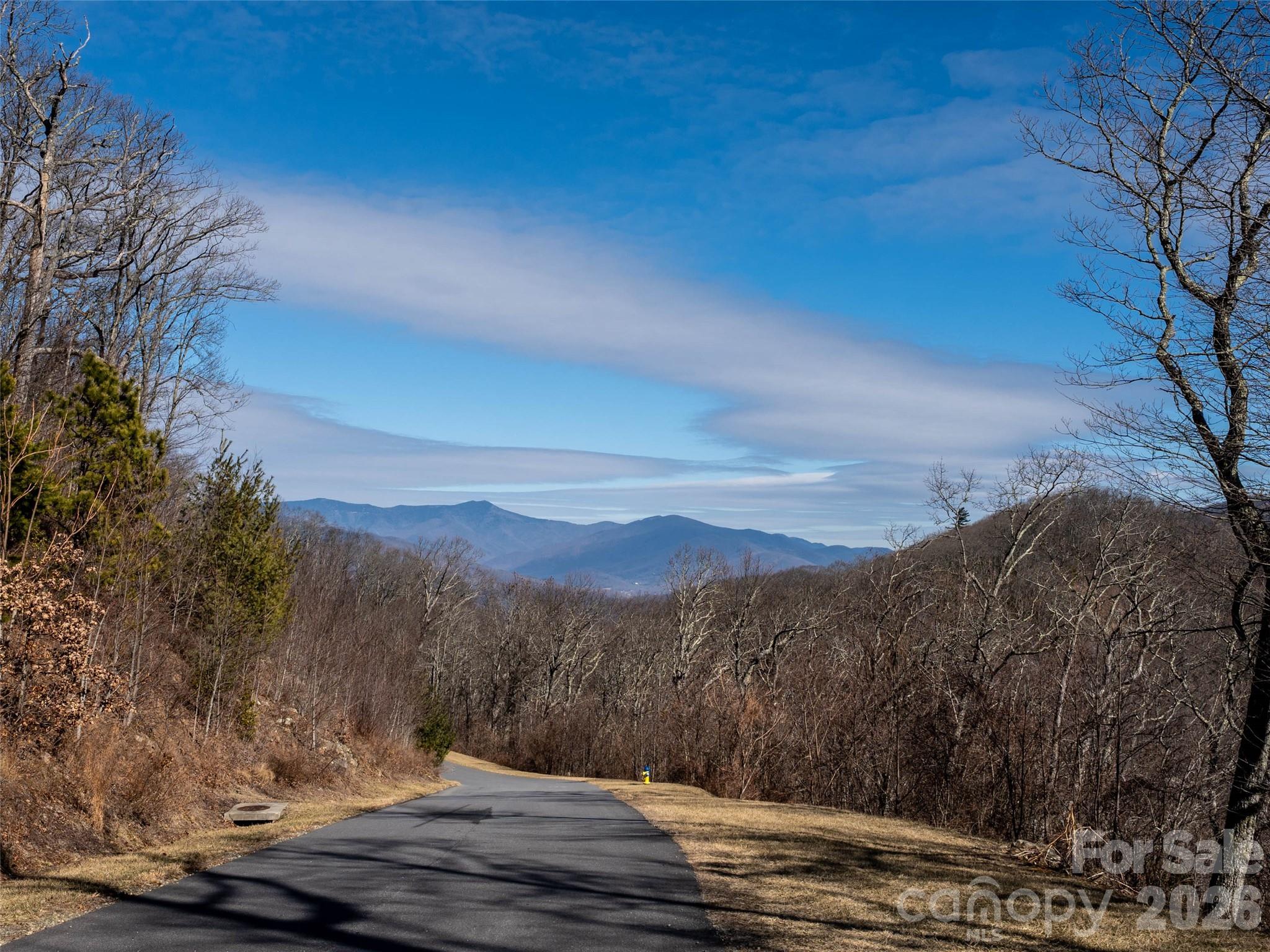 9998 Southcliff Parkway Fairview NC 28730