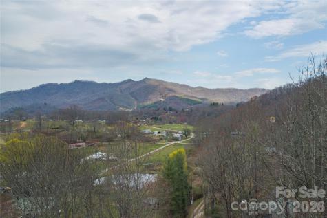 99999 Molasses Way Waynesville NC 28785