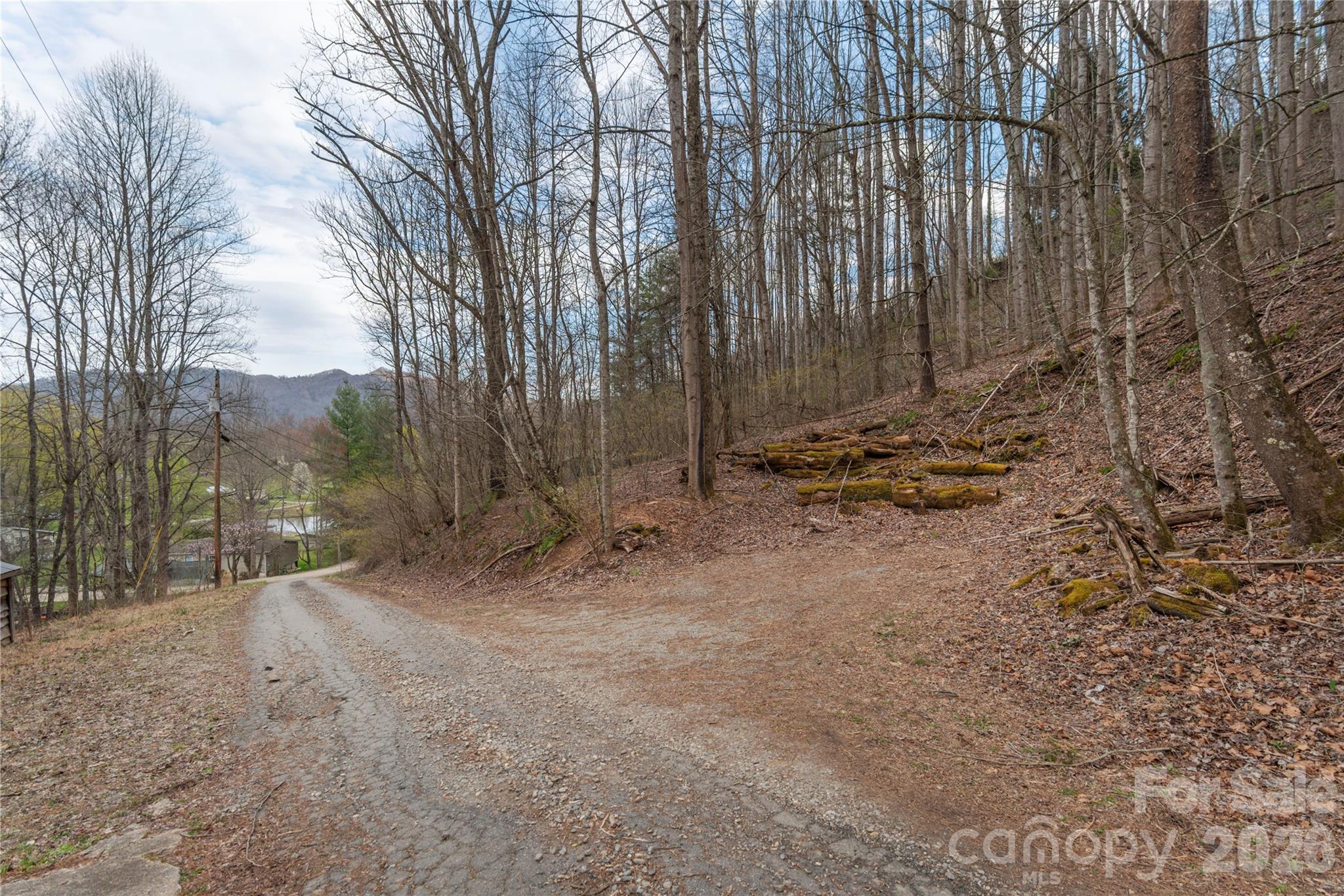 99999 Molasses Way Waynesville NC 28785