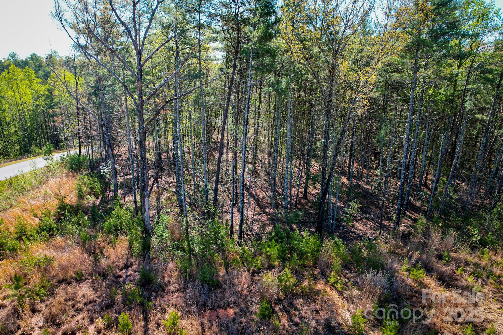 2033 Starlight Lane Morganton NC 28655