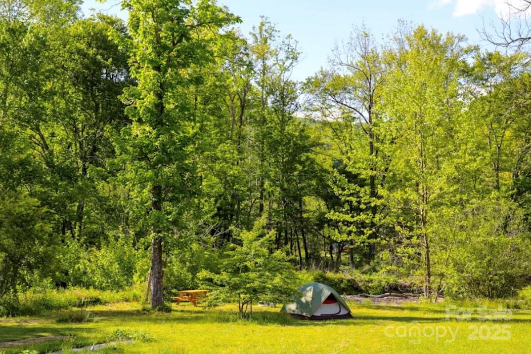 2840 Nc 9 Highway Black Mountain NC 28711