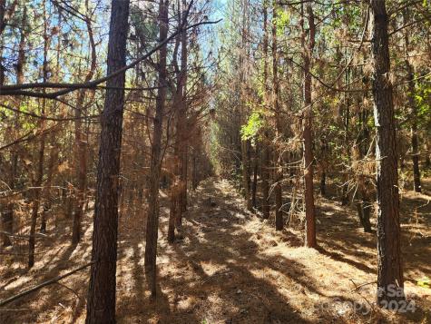 451 Low Bridge Road Forest City NC 28043