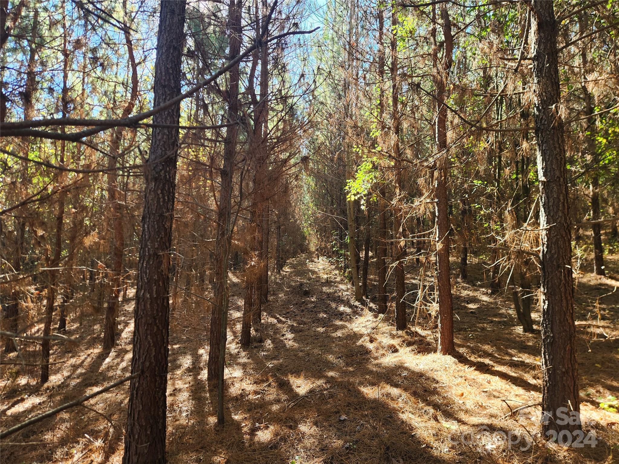 451 Low Bridge Road Forest City NC 28043
