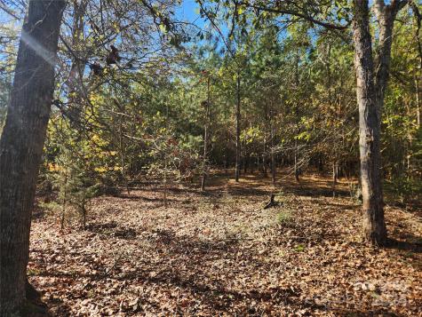 451 Low Bridge Road Forest City NC 28043