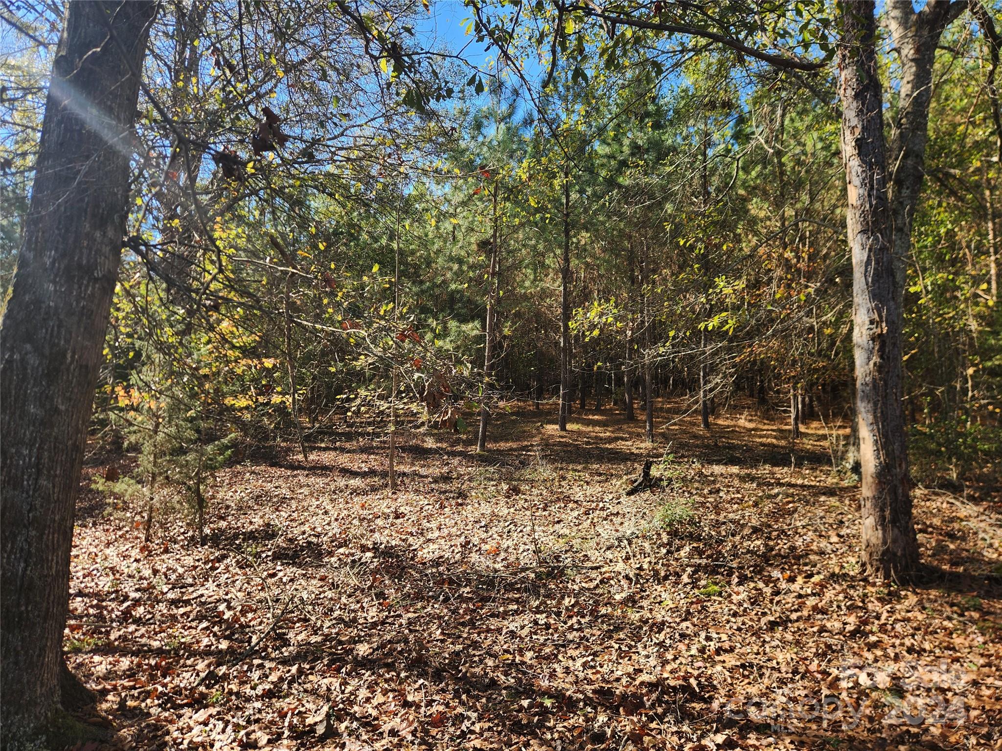 451 Low Bridge Road Forest City NC 28043