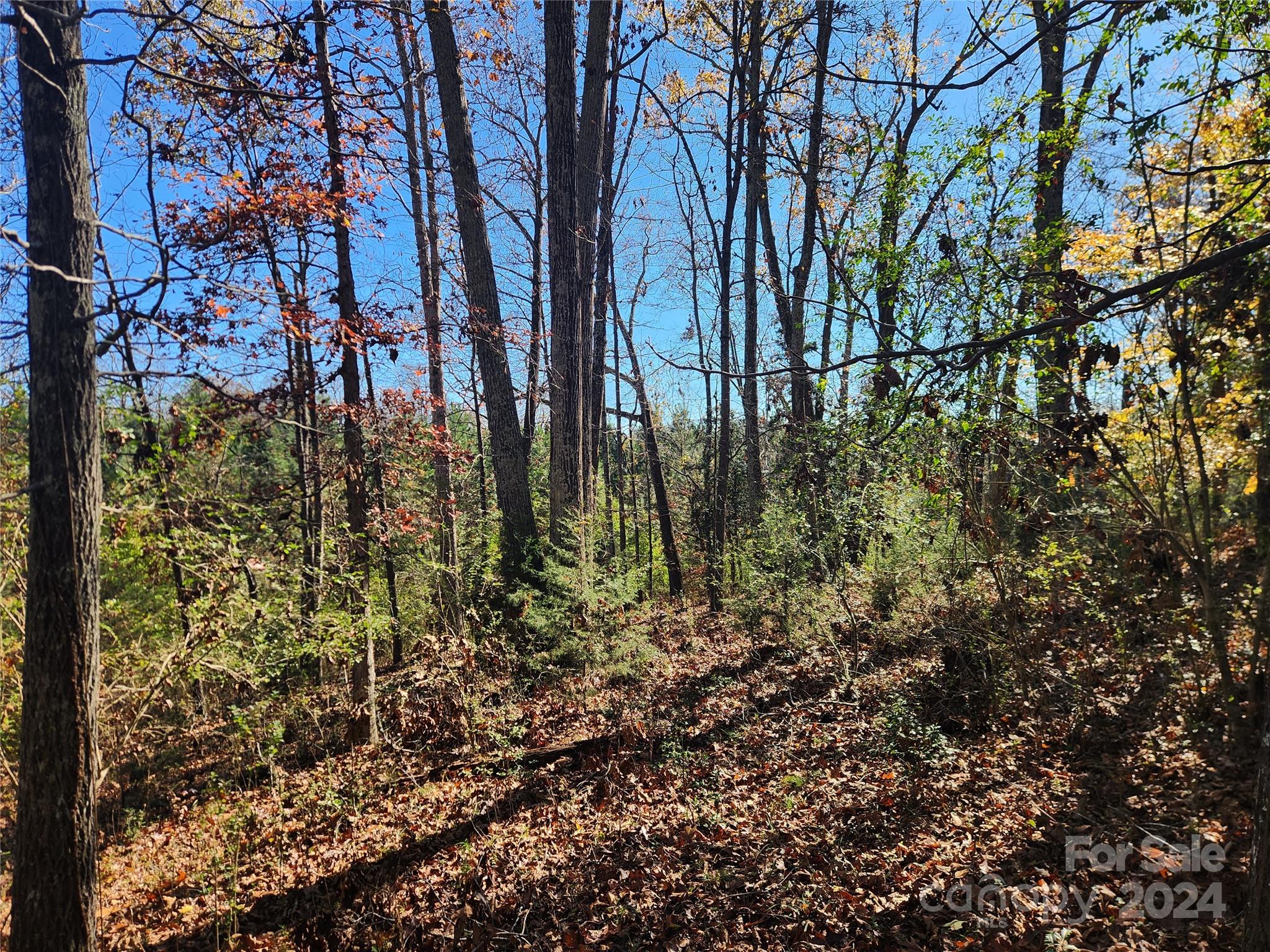 451 Low Bridge Road Forest City NC 28043