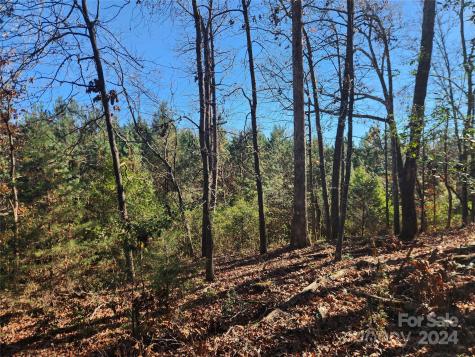 451 Low Bridge Road Forest City NC 28043
