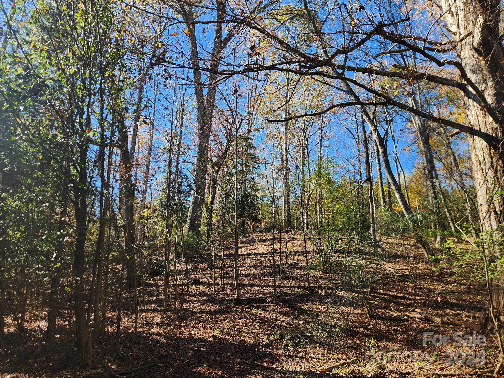 451 Low Bridge Road Forest City NC 28043