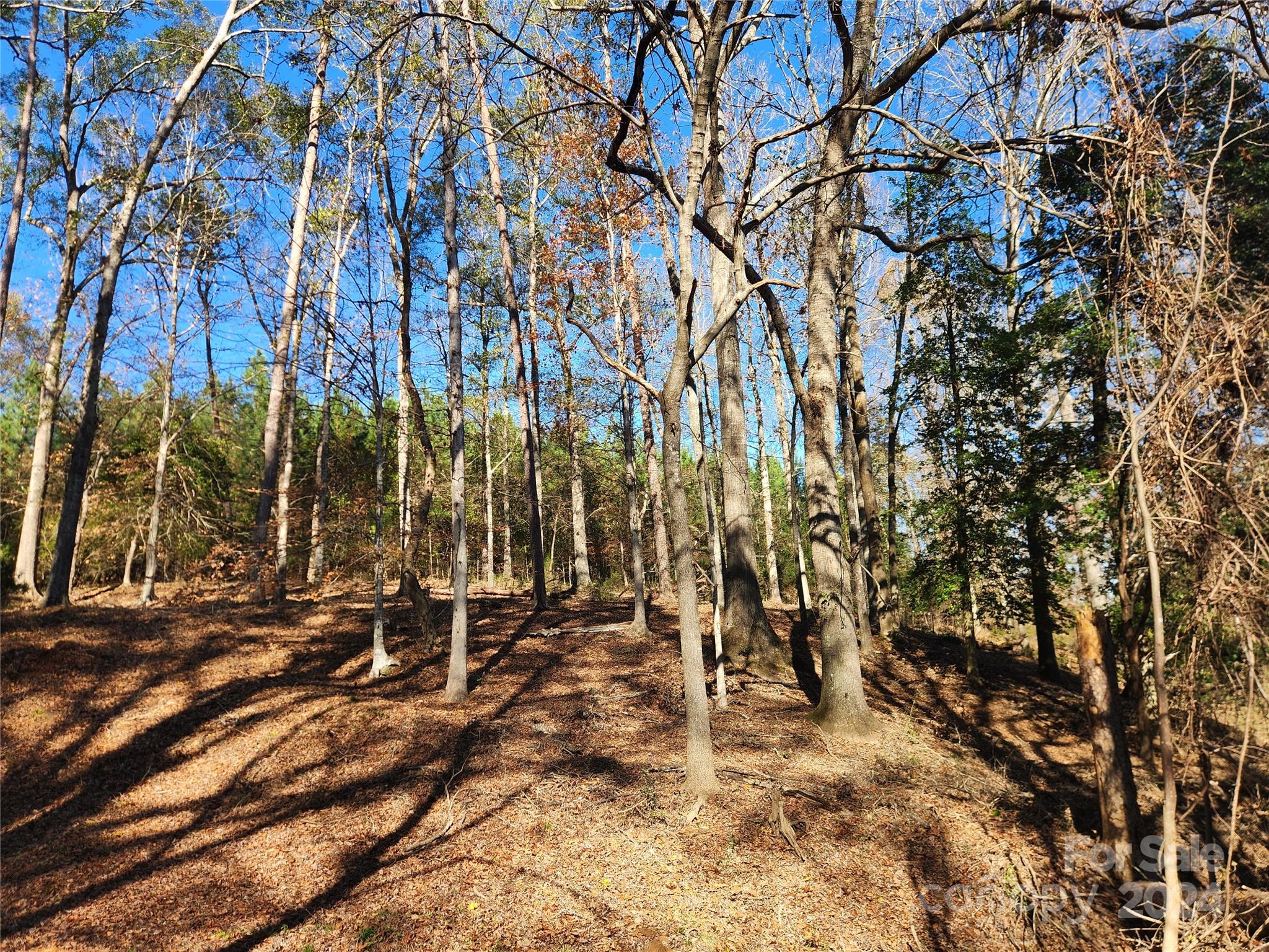 451 Low Bridge Road Forest City NC 28043