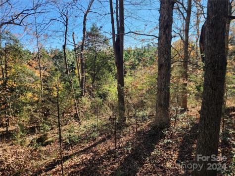 451 Low Bridge Road Forest City NC 28043