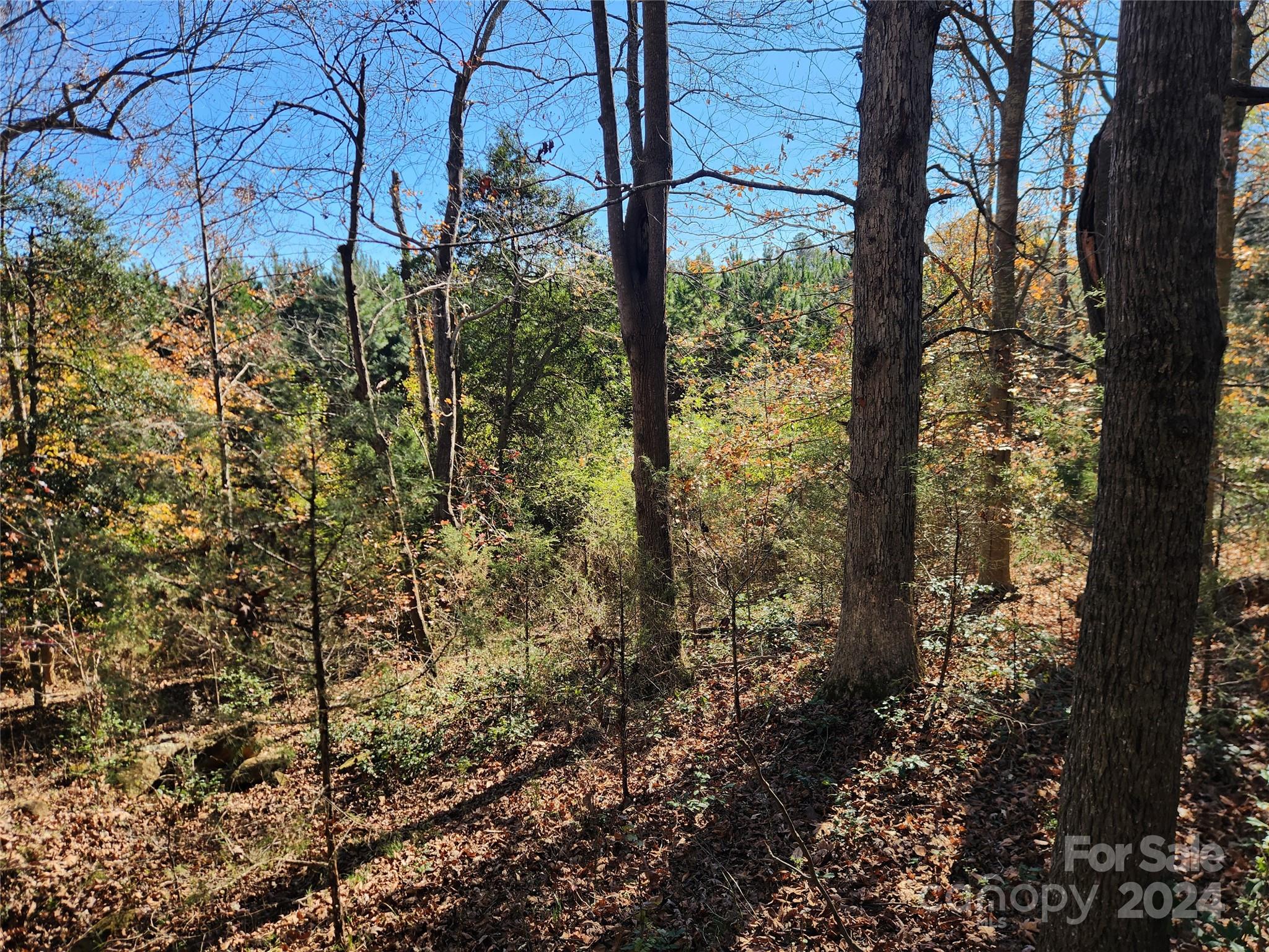 451 Low Bridge Road Forest City NC 28043