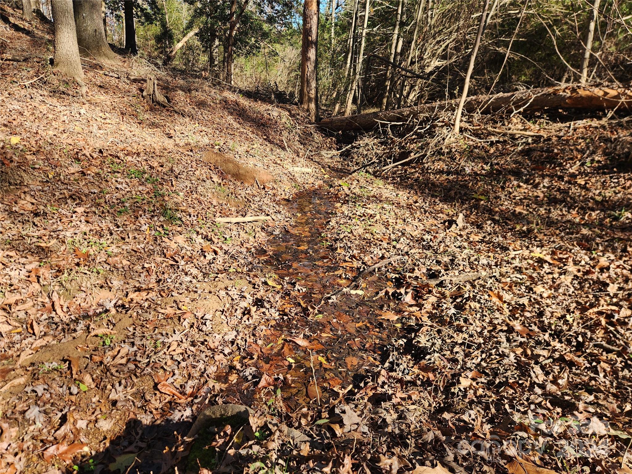 451 Low Bridge Road Forest City NC 28043