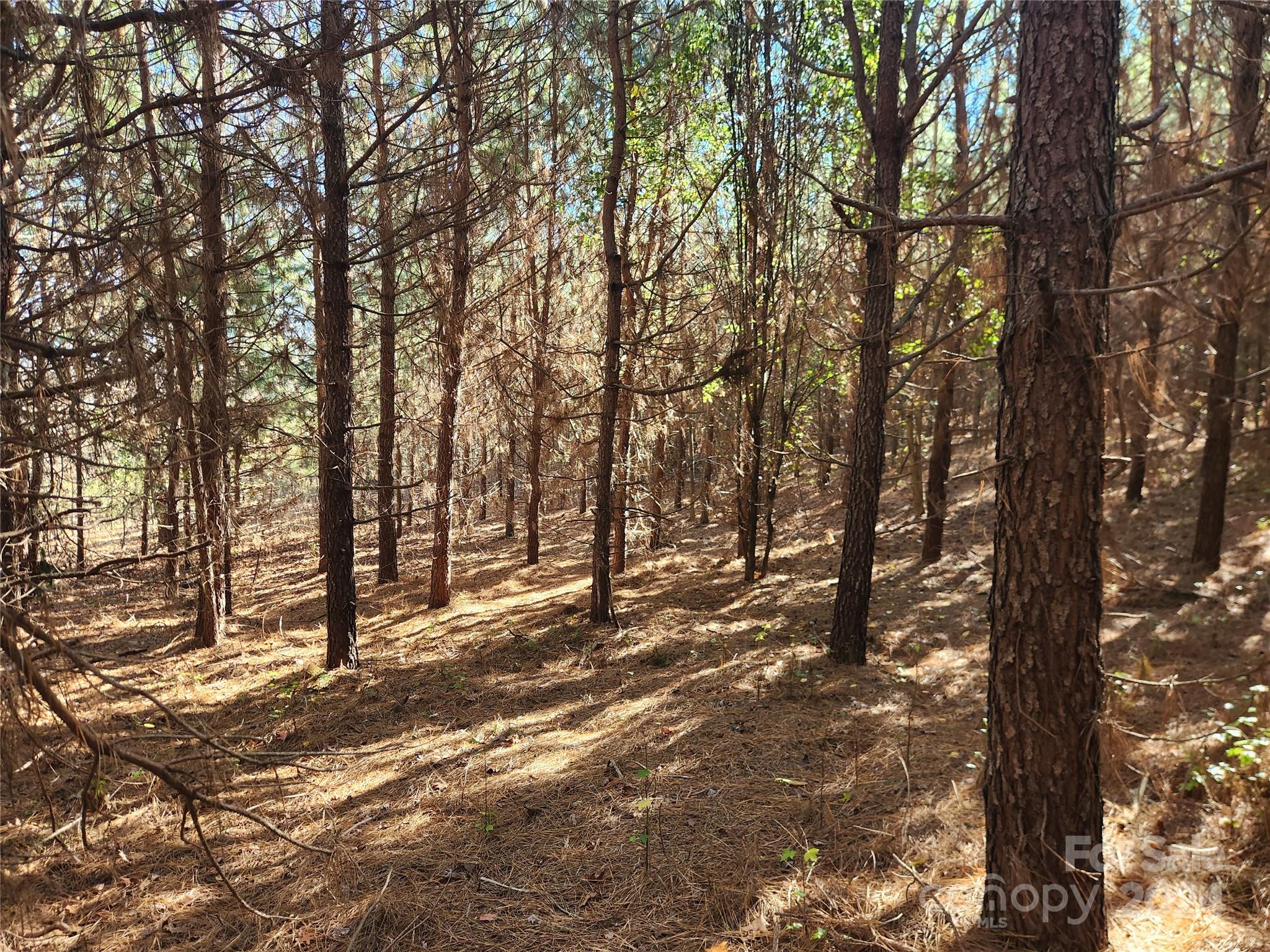 451 Low Bridge Road Forest City NC 28043