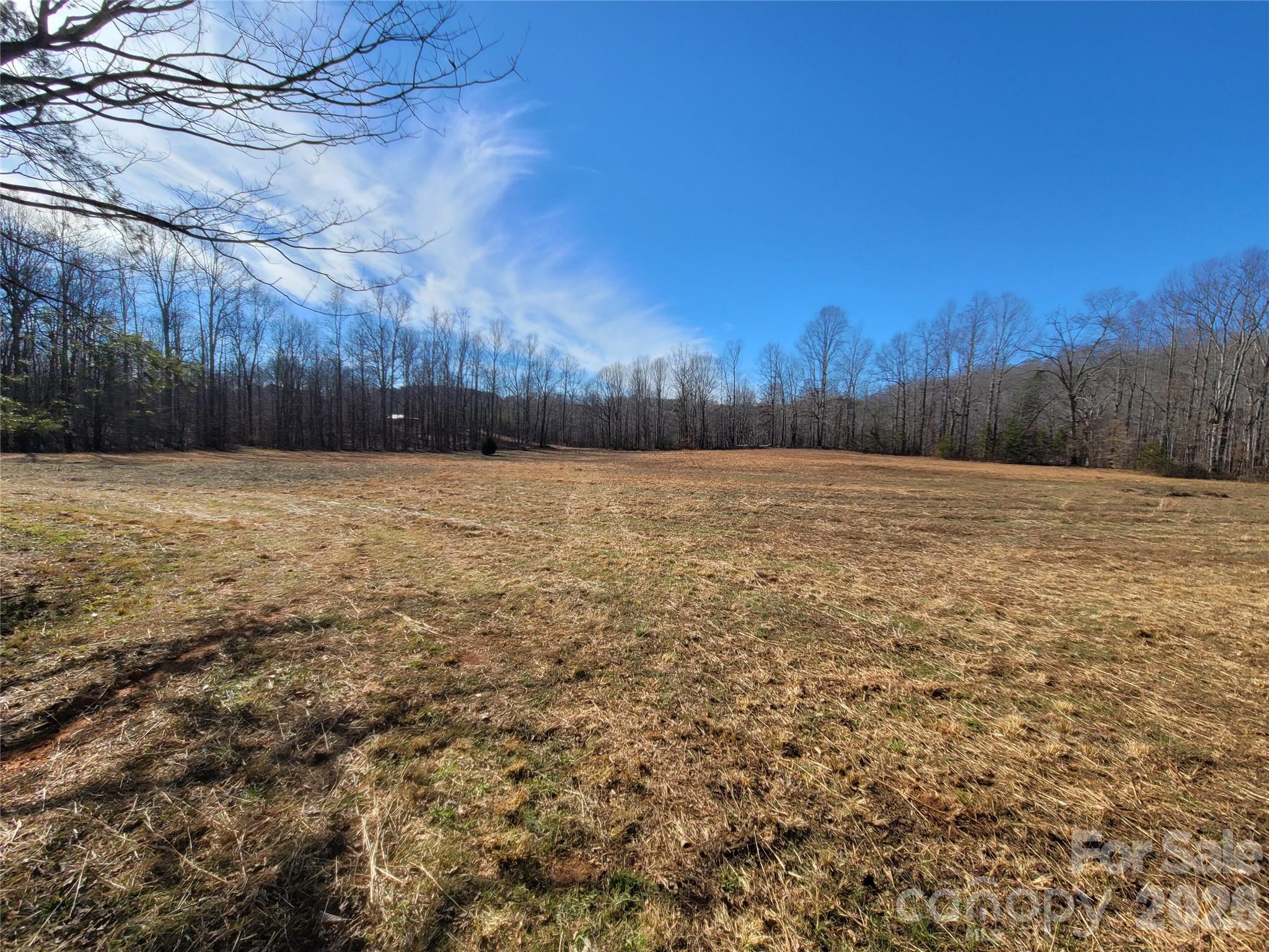 0 Bill Collins Road Columbus NC 28722