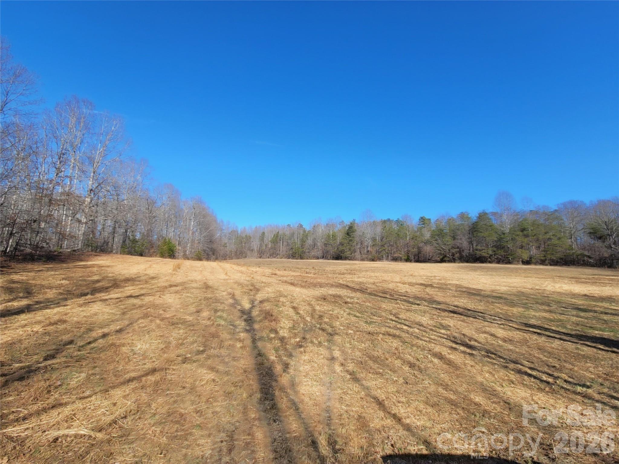 0 Bill Collins Road Columbus NC 28722