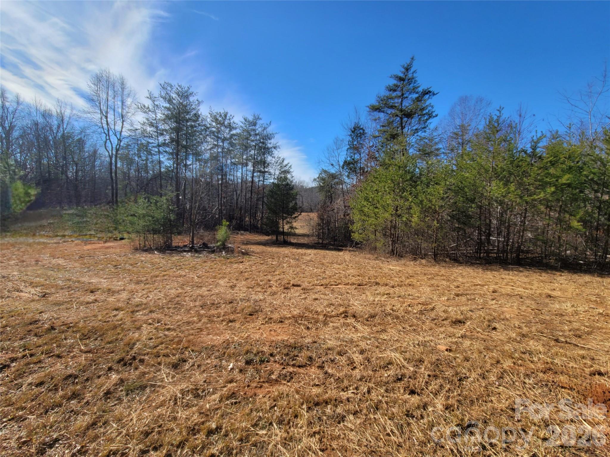 0 Bill Collins Road Columbus NC 28722