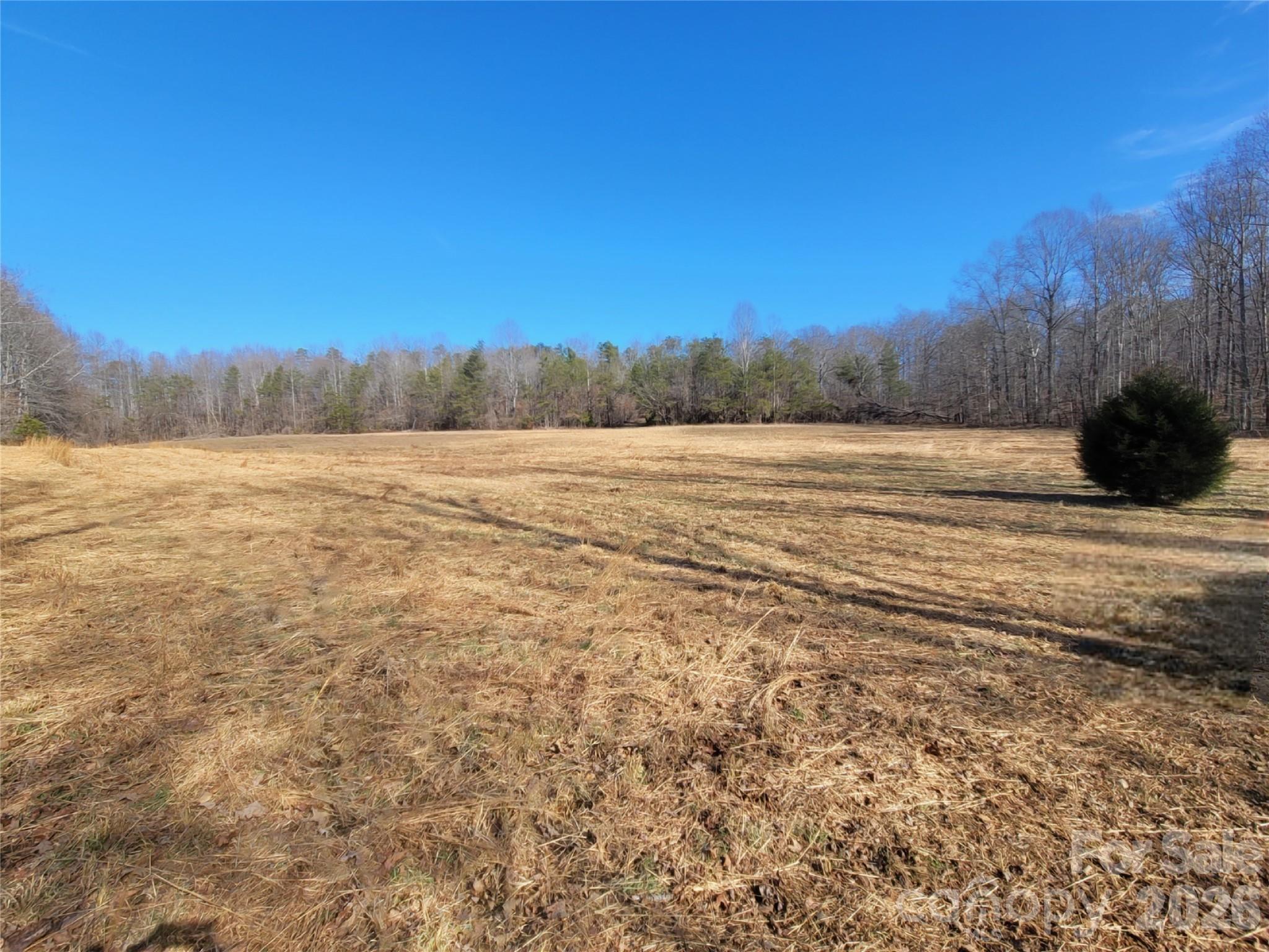 0 Bill Collins Road Columbus NC 28722
