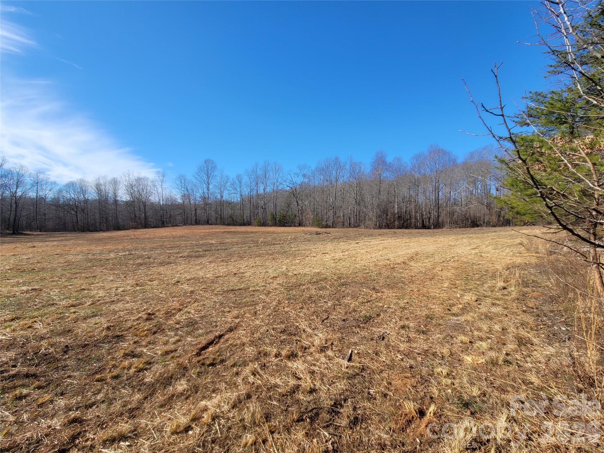 0 Bill Collins Road Columbus NC 28722