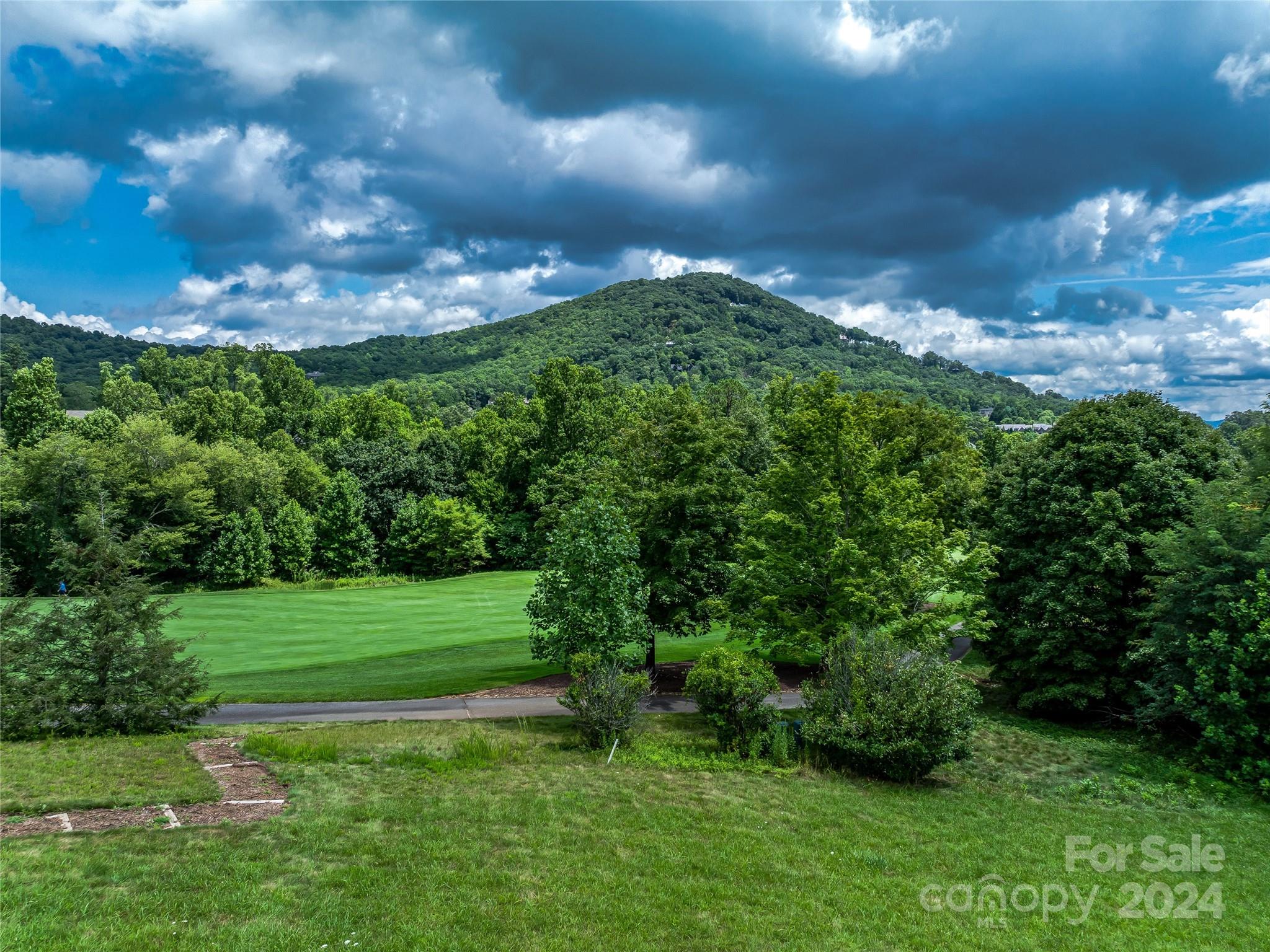 1814 Bella Vista Court Arden NC 28704