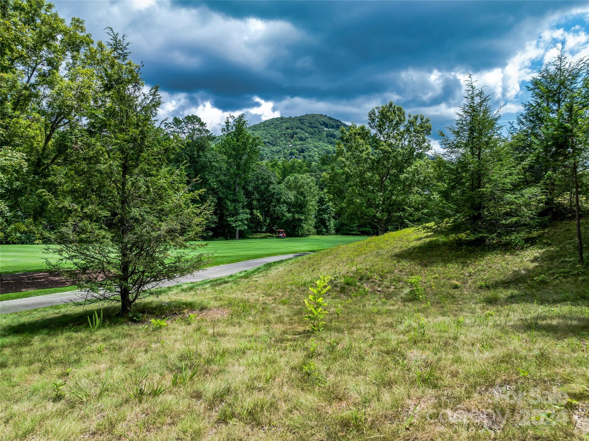 1814 Bella Vista Court Arden NC 28704
