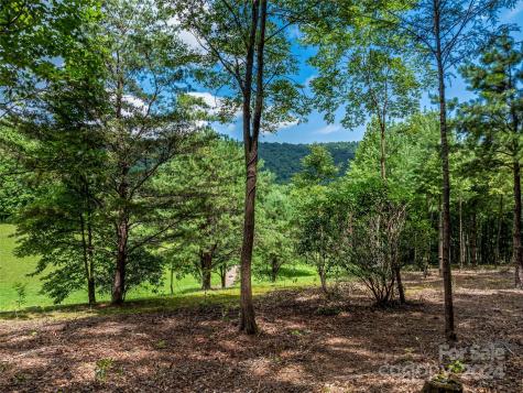 1814 Bella Vista Court Arden NC 28704