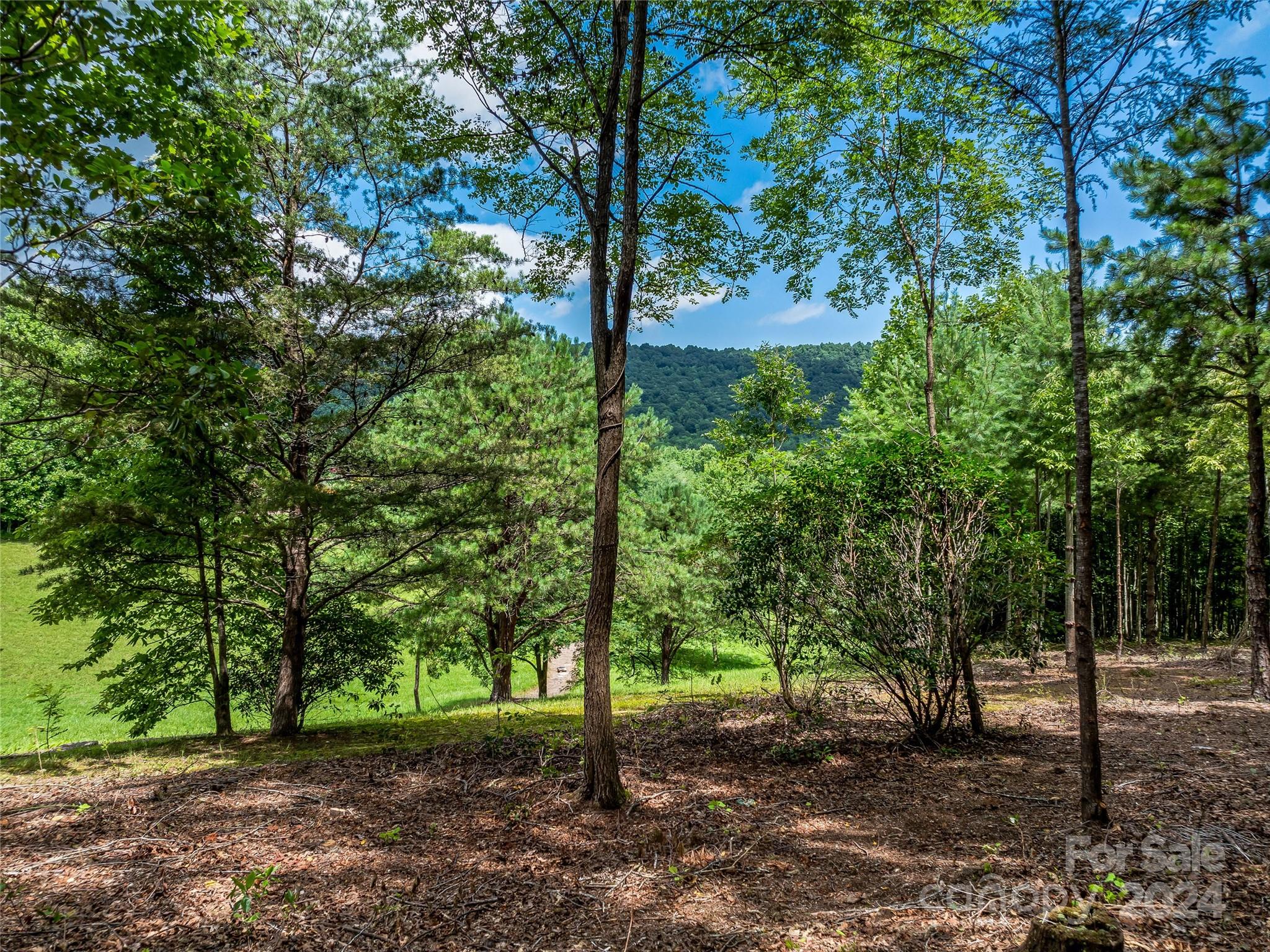 1814 Bella Vista Court Arden NC 28704